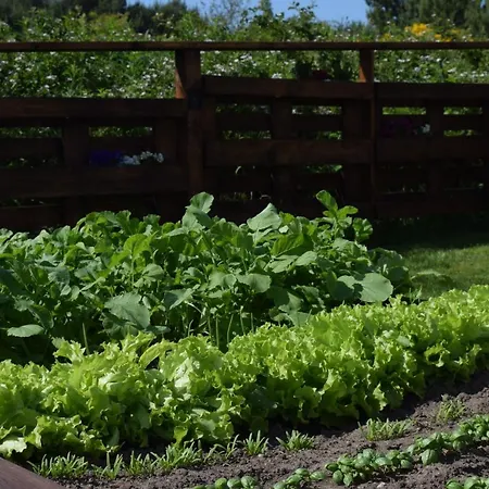 Ubytování v soukromí Parys *