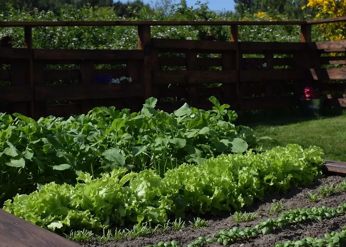 בית אירוח Parys *