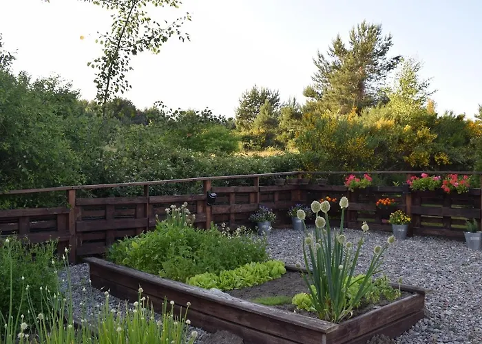 Parys Władysławowo